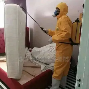 Fogging/Fumigation Public Health Recommended