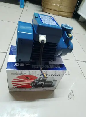 Pedrollo Water Pump