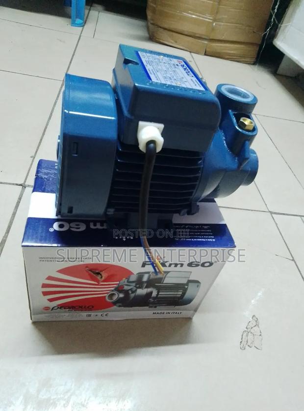 Pedrollo Water Pump