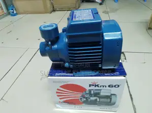 Water Pump Machine/ Pedrollo