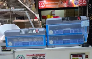 136egg Drawer Type Incubator**