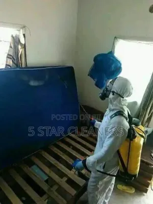 Professional Fumigation and Disinfectant