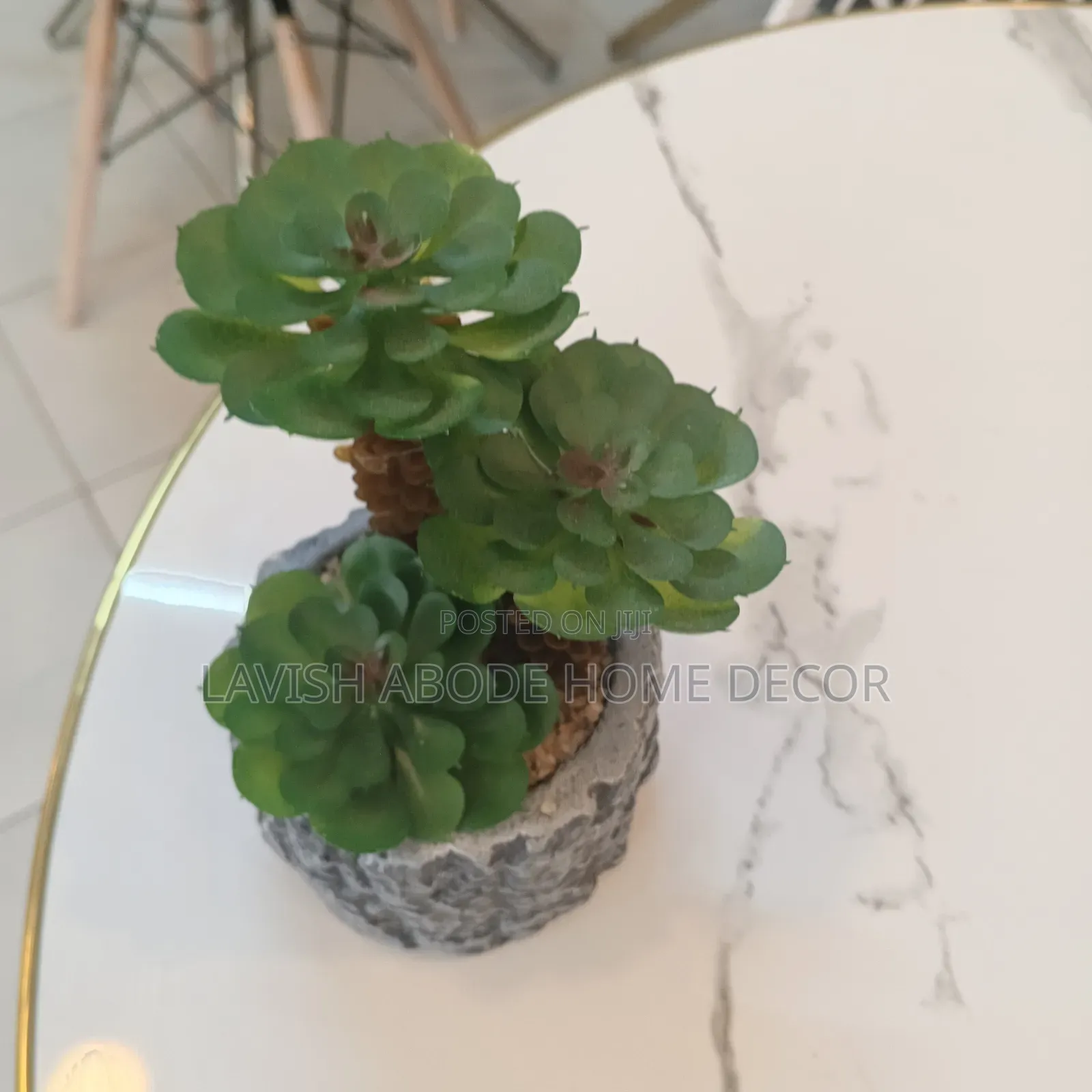 Green Artificial Succulent .