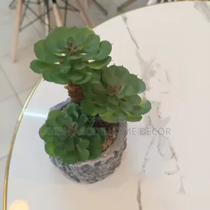 Green Artificial Succulent .
