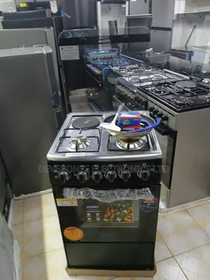 *50*55 Ecomax 3+1 Standing Cooker