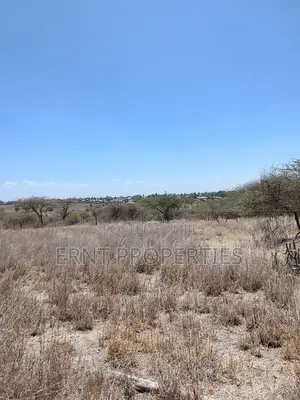 Prime Acreage for Sale Touching Kangundo Road, Malaa