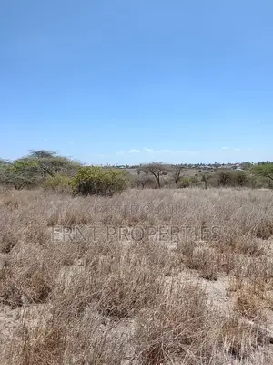 Prime Acreage for Sale Touching Kangundo Road, Malaa