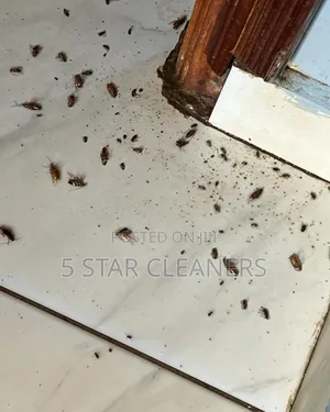 Eastlands Bedbugs and Cockroaches Removers- Fumigation