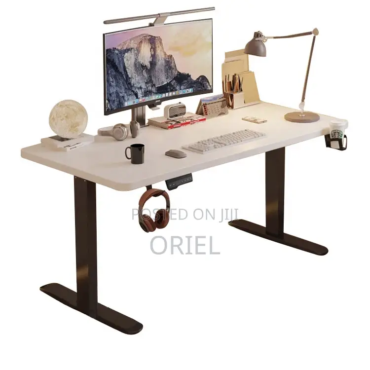 Height Adjustable Sit-Stand Office Desk : 1.2m Electric Desk