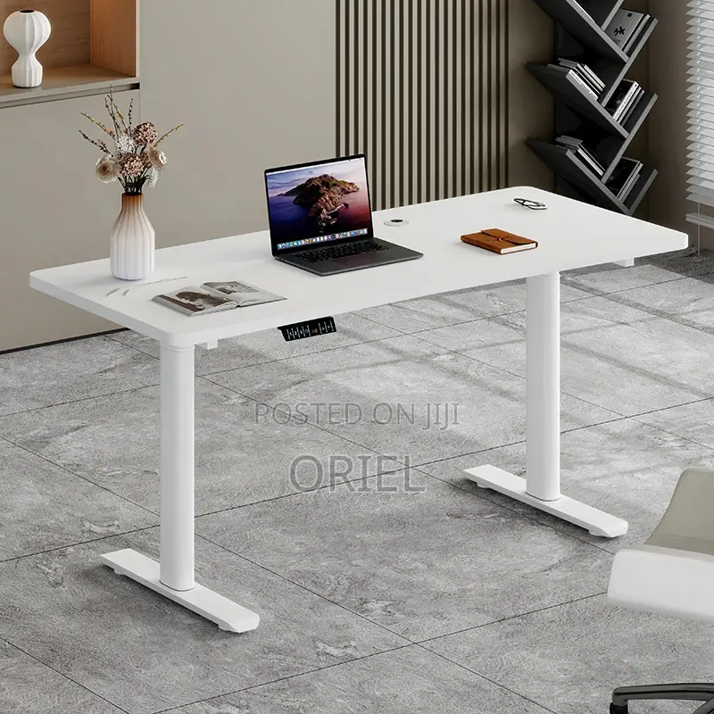Height Adjustable Sit-Stand Office Desk : 1.2m Electric Desk