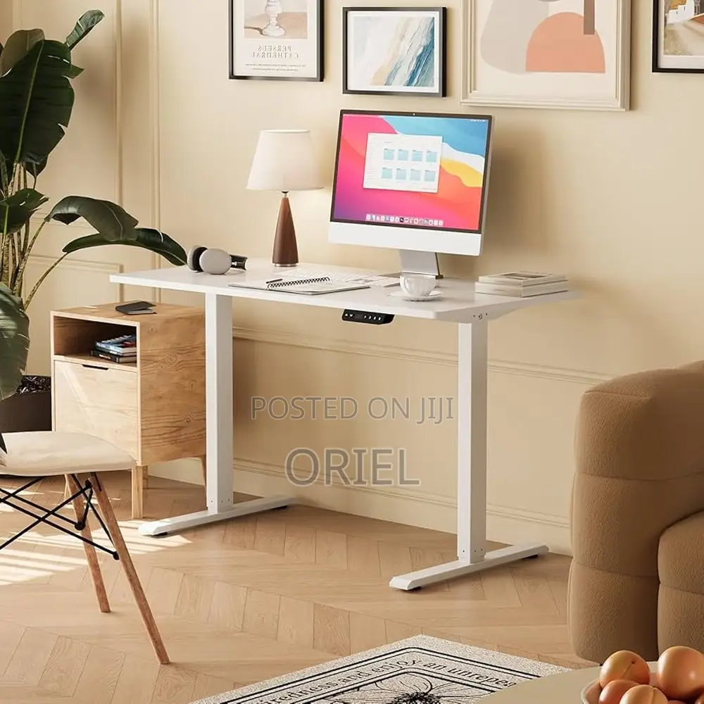 Height Adjustable Sit-Stand Office Desk : 1.2m Electric Desk