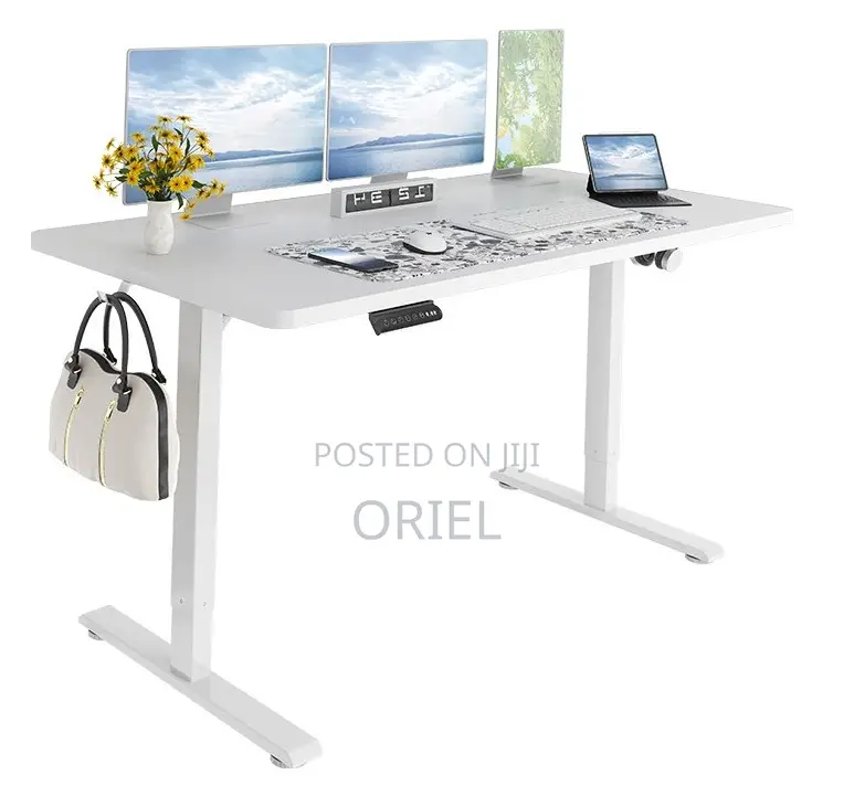 Height Adjustable Sit-Stand Office Desk : 1.2m Electric Desk