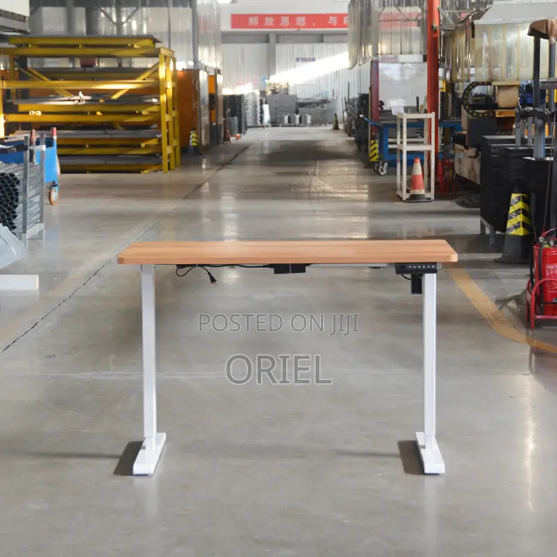 Height Adjustable Sit-Stand Office Desk : 1.2m Electric Desk