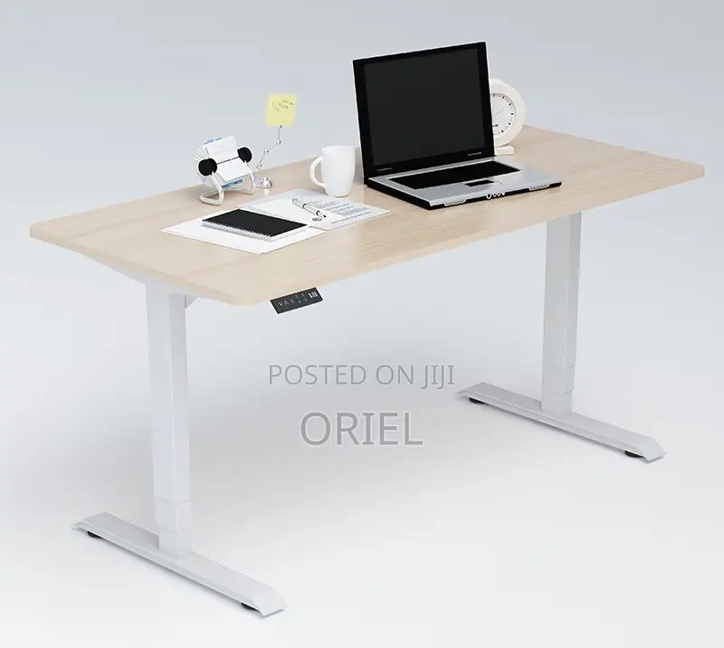 Height Adjustable Sit-Stand Office Desk : 1.2m Electric Desk