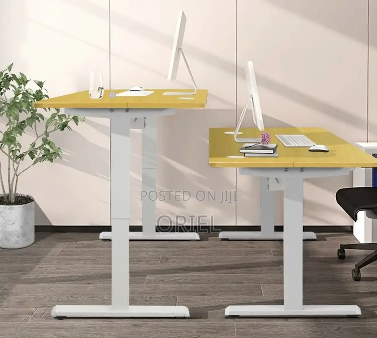 Height Adjustable Sit-Stand Office Desk : 1.2m Electric Desk