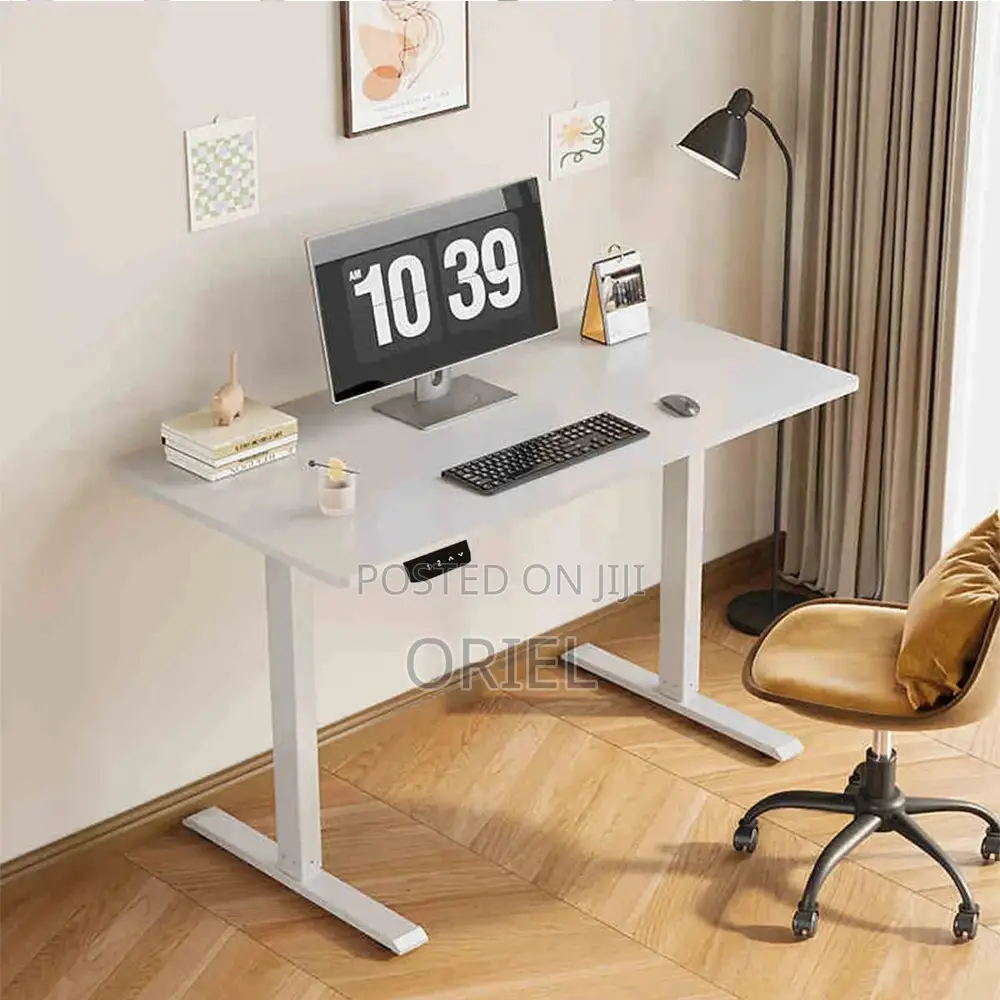 Height Adjustable Sit-Stand Office Desk : 1.2m Electric Desk