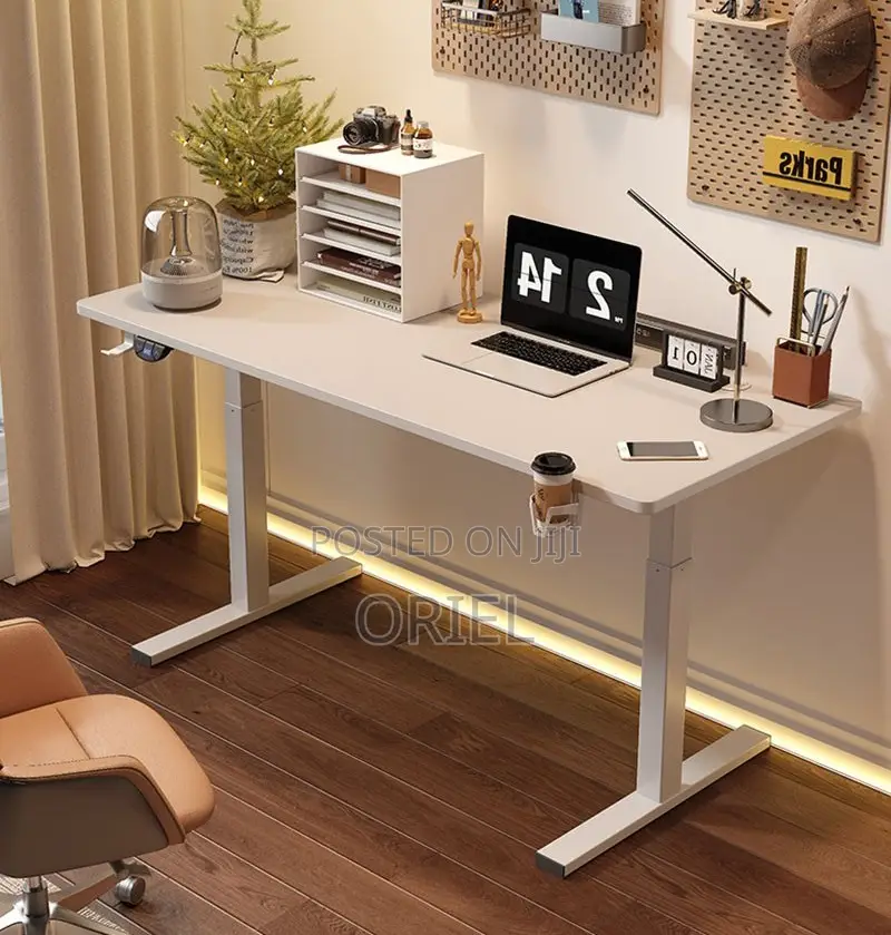 Height Adjustable Sit-Stand Office Desk : 1.2m Electric Desk