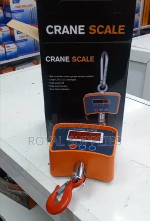 500kg Crane Scale