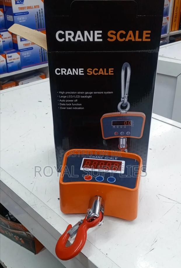 500kg Crane Scale