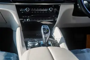 BMW X6 xDrive50i Coupe 4x4 (4.4L 8cyl 8A) 2016 Brown