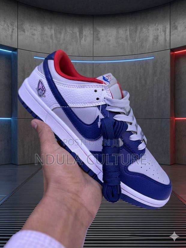 Nike Sb New Edtion - main view