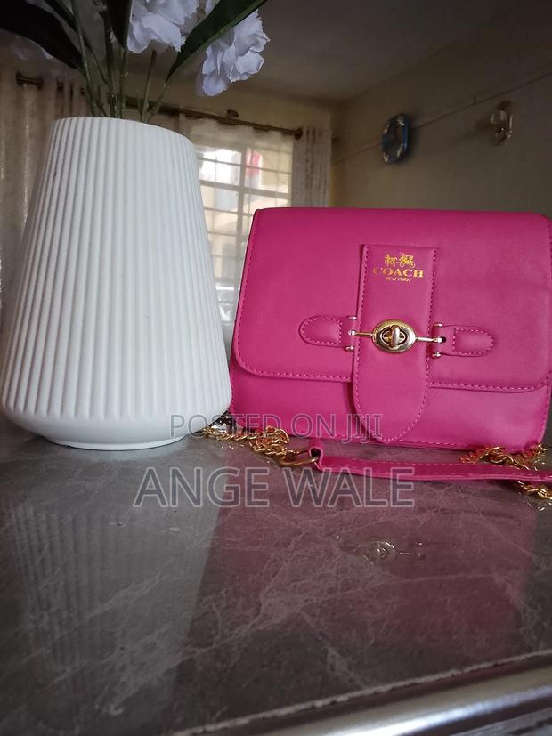 Ladies Hand Bags