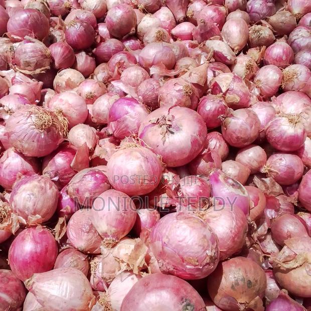 Red Onions - main view