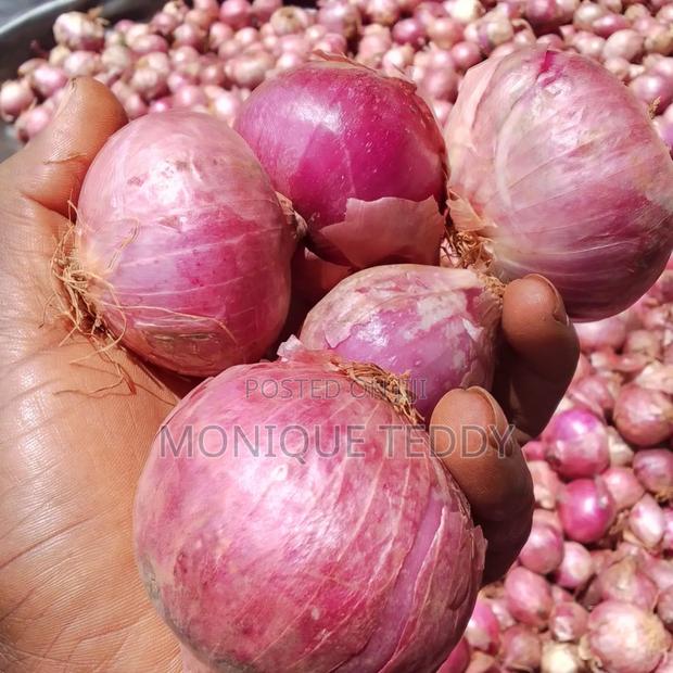 Red Onions - thumbnail 2