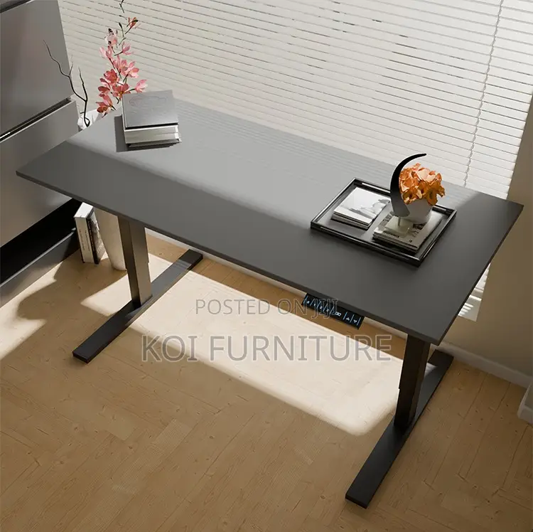 Office Desk : 1.2m Modern Electric Height Adjustable Standing Desk