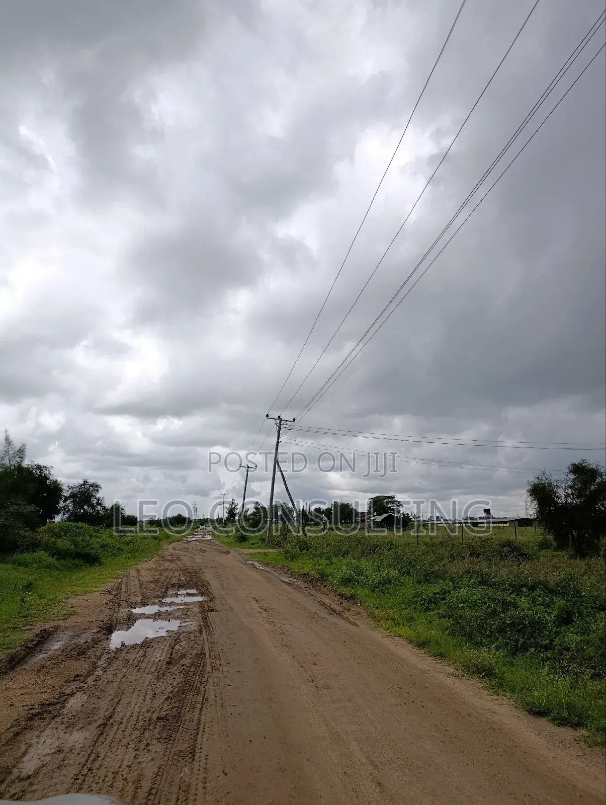 Prime Full 50 by 100 Plot on Quick Sale Near Kajiadotown