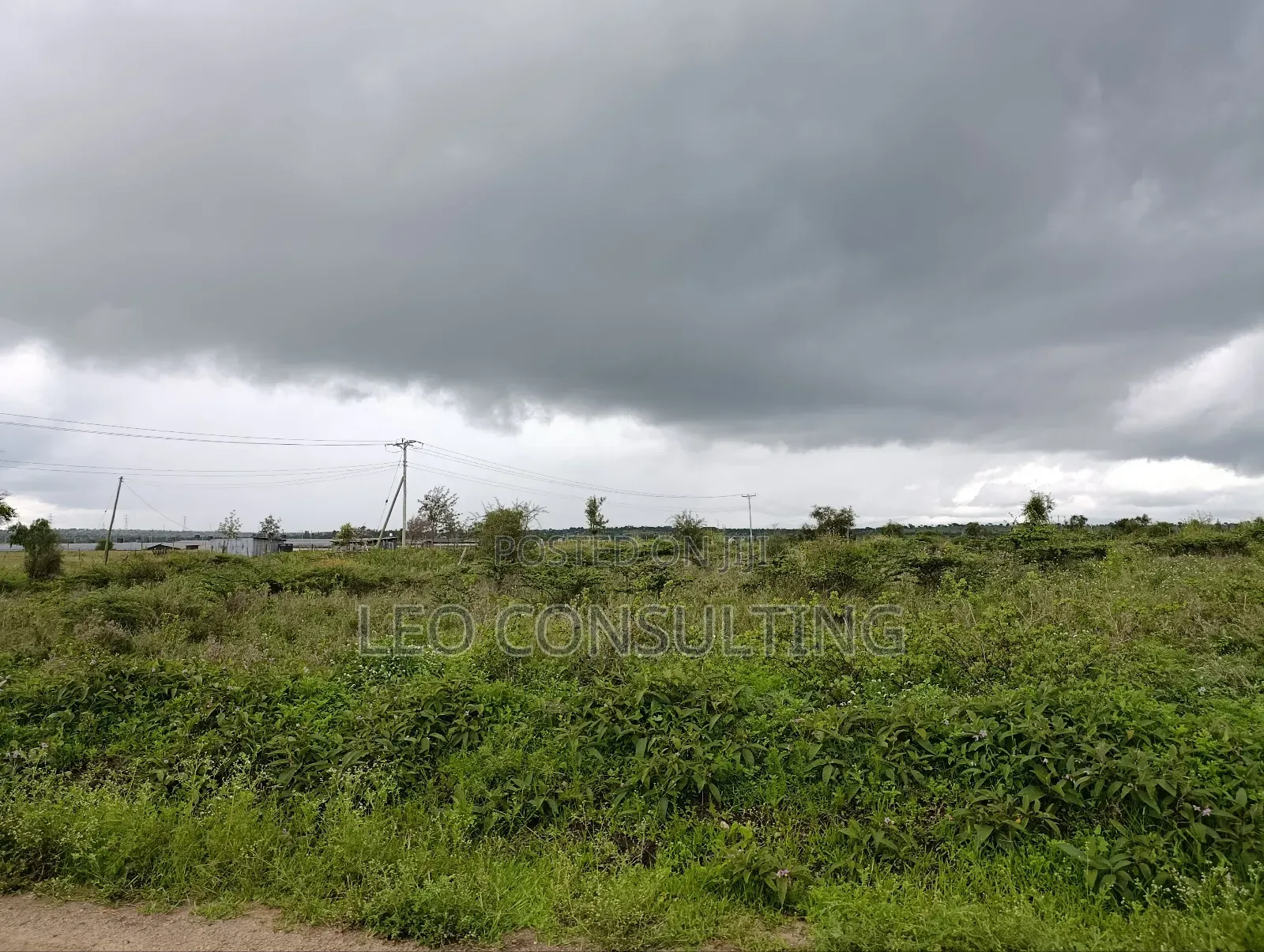 Prime Full 50 by 100 Plot on Quick Sale Near Kajiadotown