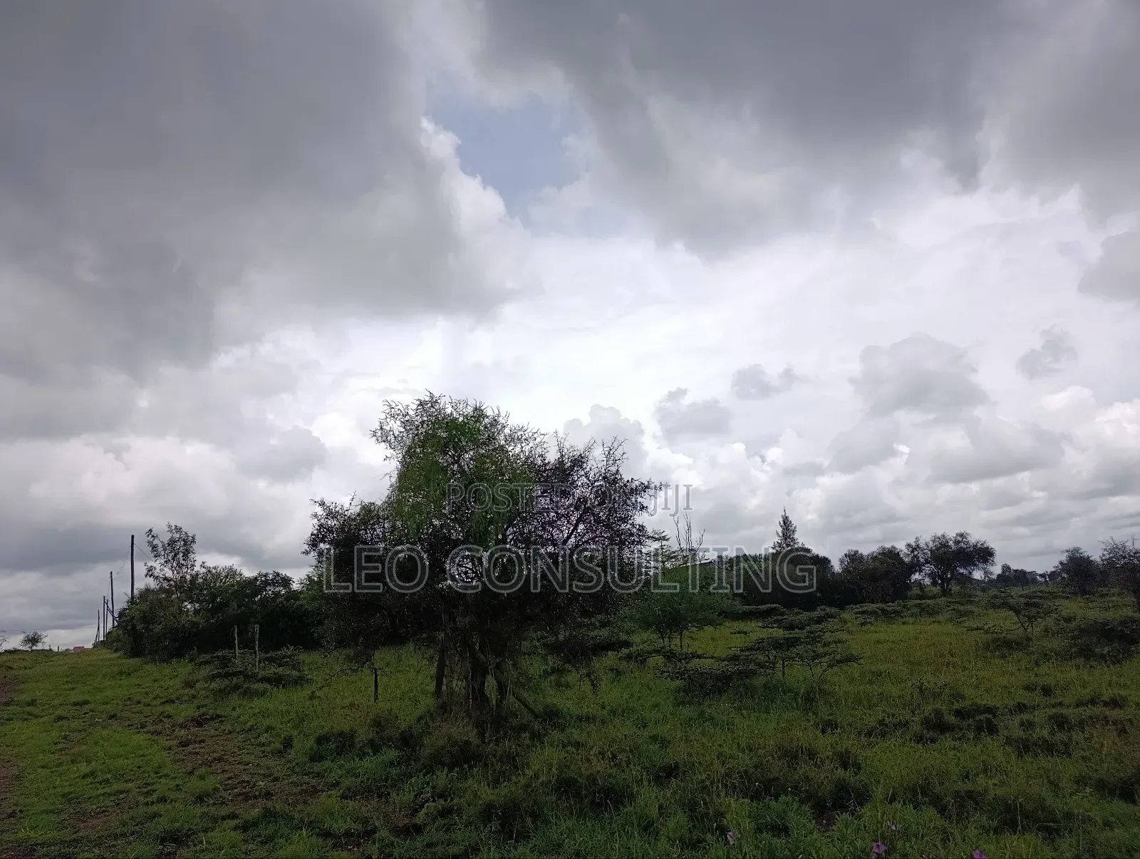 Prime Full 50 by 100 Plot on Quick Sale Near Kajiadotown