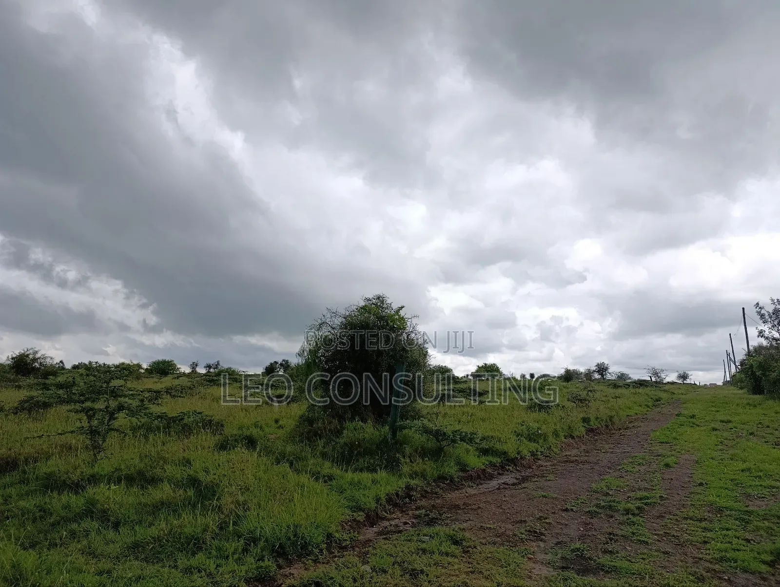 Prime Full 50 by 100 Plot on Quick Sale Near Kajiadotown