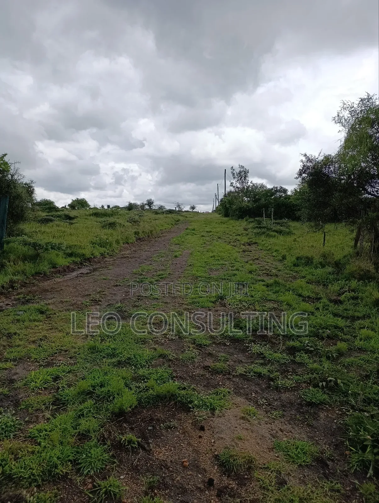 Prime Full 50 by 100 Plot on Quick Sale Near Kajiadotown