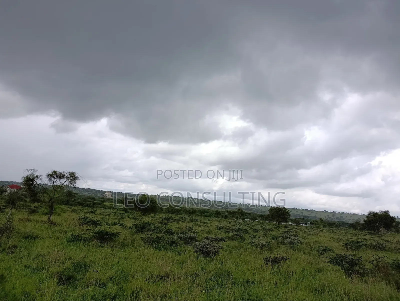 Prime Full 50 by 100 Plot on Quick Sale Near Kajiadotown