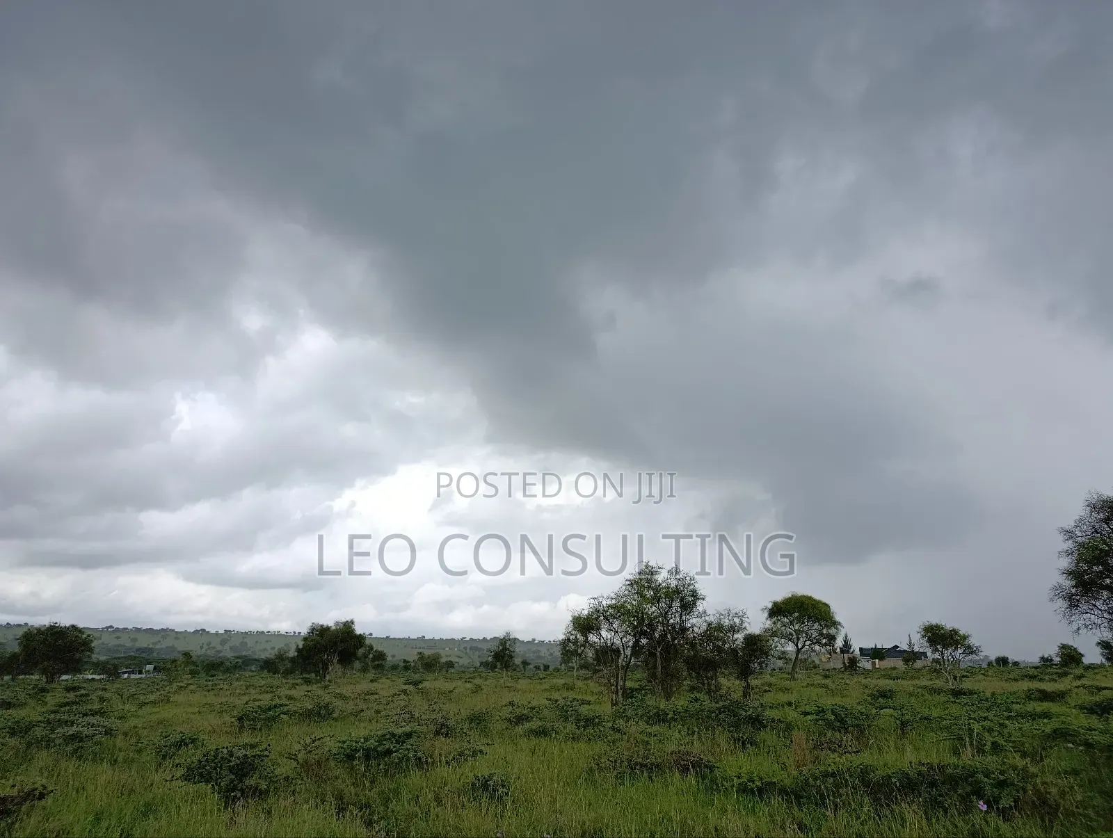Prime Full 50 by 100 Plot on Quick Sale Near Kajiadotown