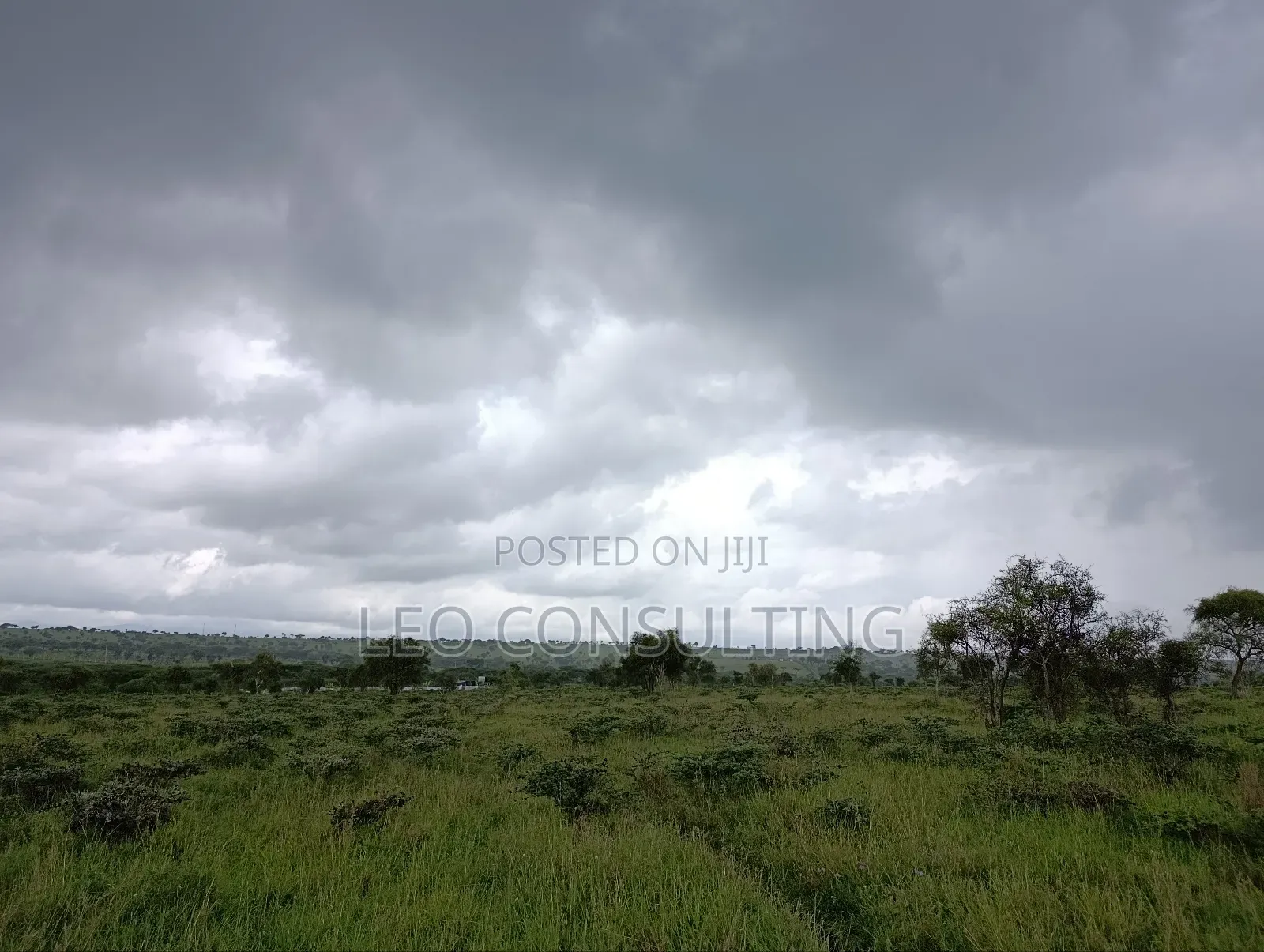 Prime Full 50 by 100 Plot on Quick Sale Near Kajiadotown
