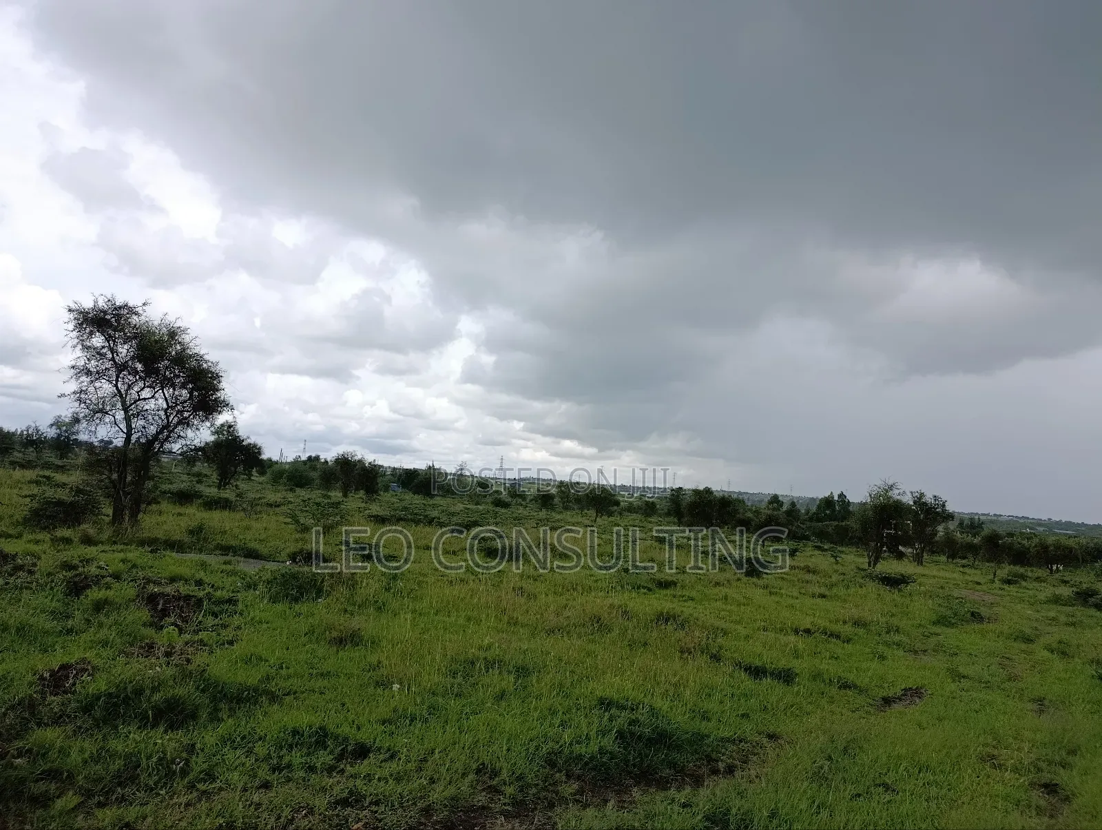 Prime Full 50 by 100 Plot on Quick Sale Near Kajiadotown