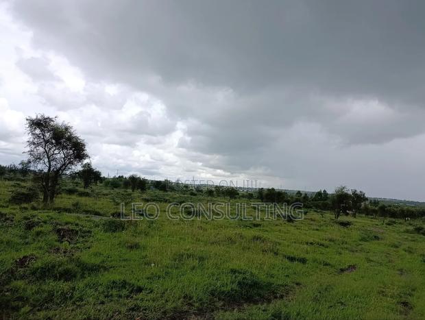 50×100 Plot for Sale in Kajiado Town – Near Tarmac, Ready Title - thumbnail 14