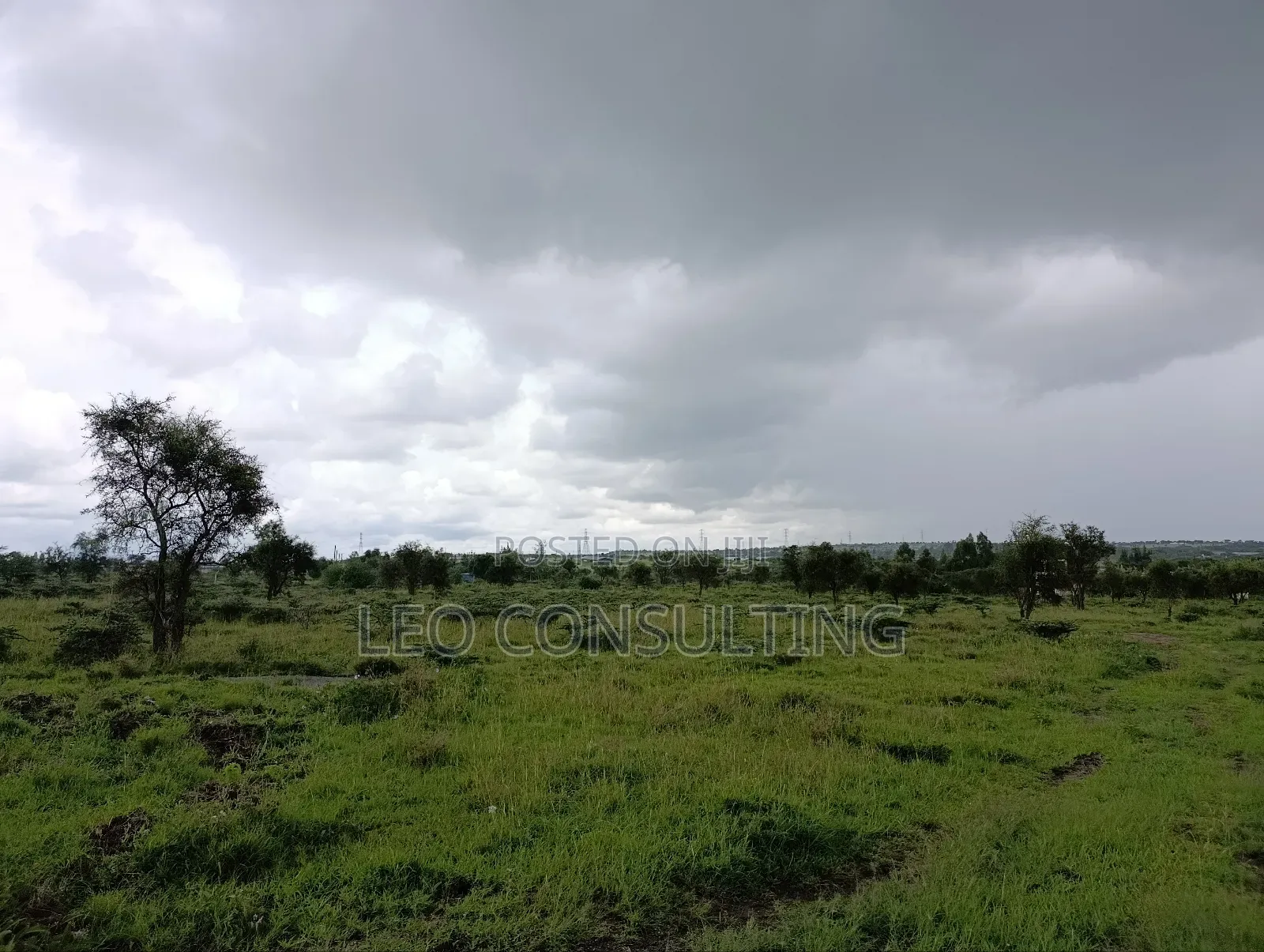 Prime Full 50 by 100 Plot on Quick Sale Near Kajiadotown