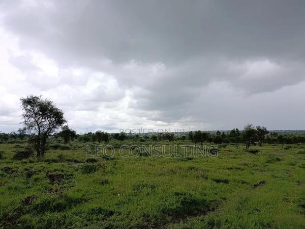50×100 Plot for Sale in Kajiado Town – Near Tarmac, Ready Title - thumbnail 15