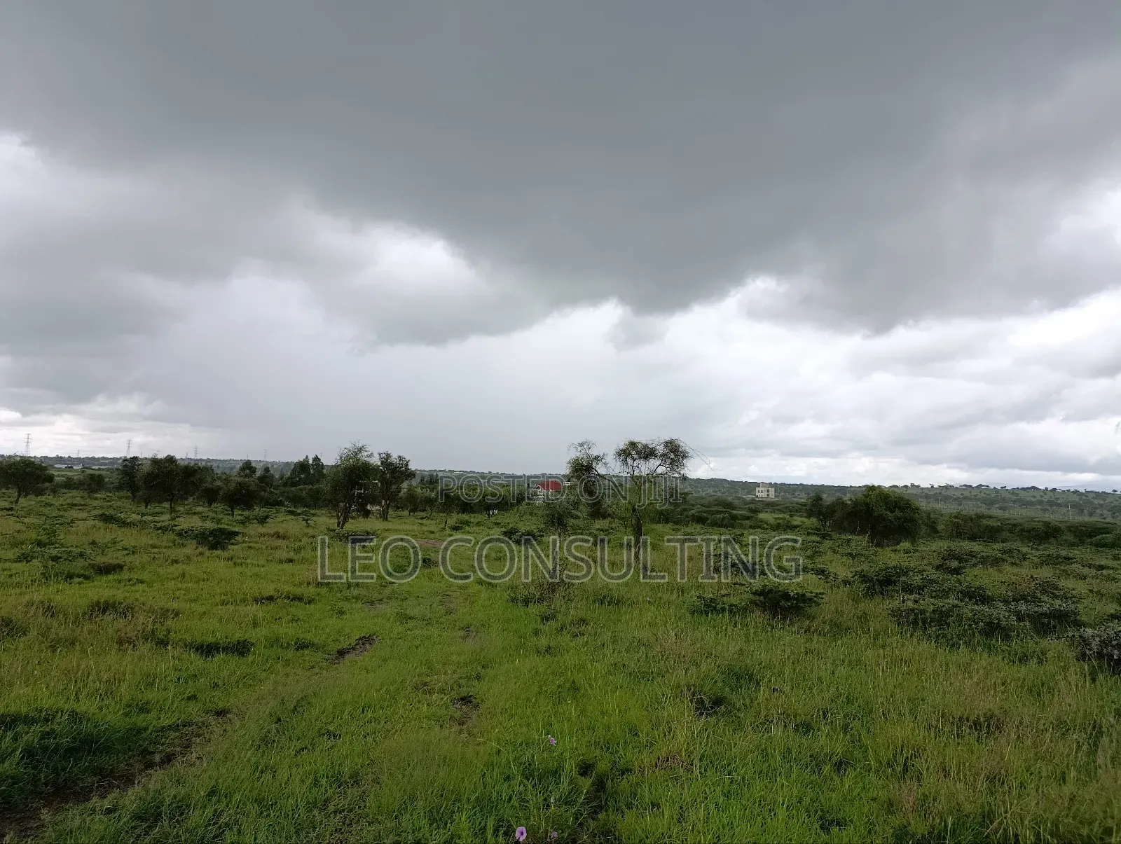 Prime Full 50 by 100 Plot on Quick Sale Near Kajiadotown