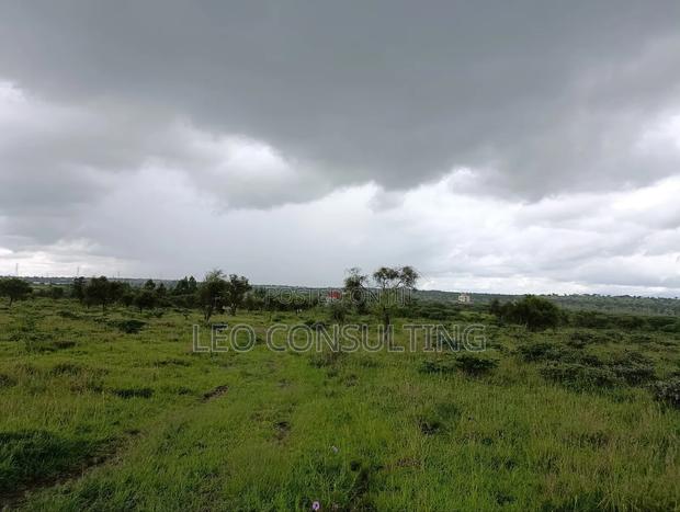50×100 Plot for Sale in Kajiado Town – Near Tarmac, Ready Title - thumbnail 16