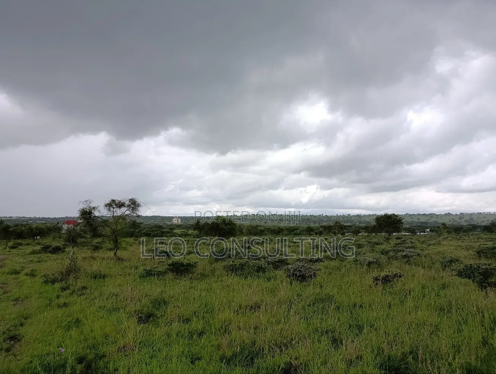 Prime Full 50 by 100 Plot on Quick Sale Near Kajiadotown