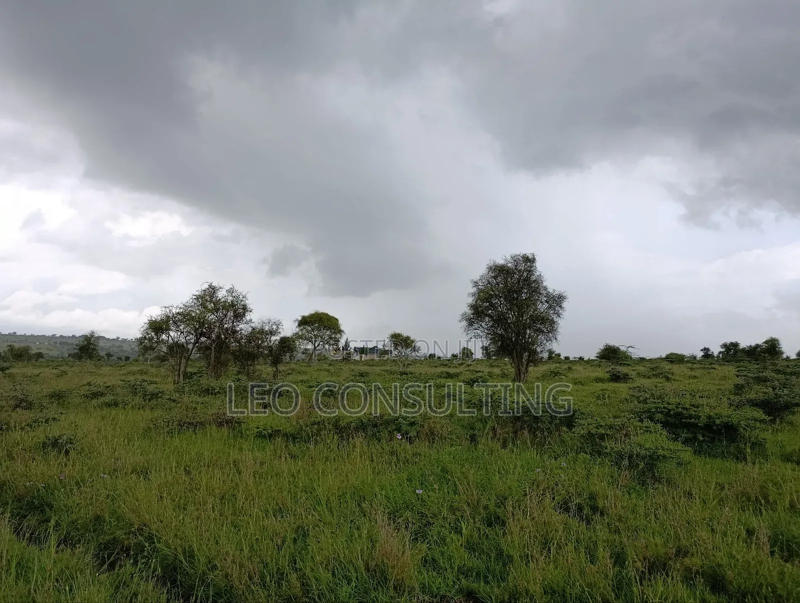 Prime Full 50 by 100 Plot on Quick Sale Near Kajiadotown