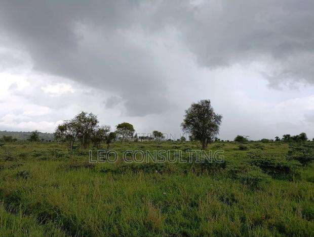 50×100 Plot for Sale in Kajiado Town – Near Tarmac, Ready Title - thumbnail 18
