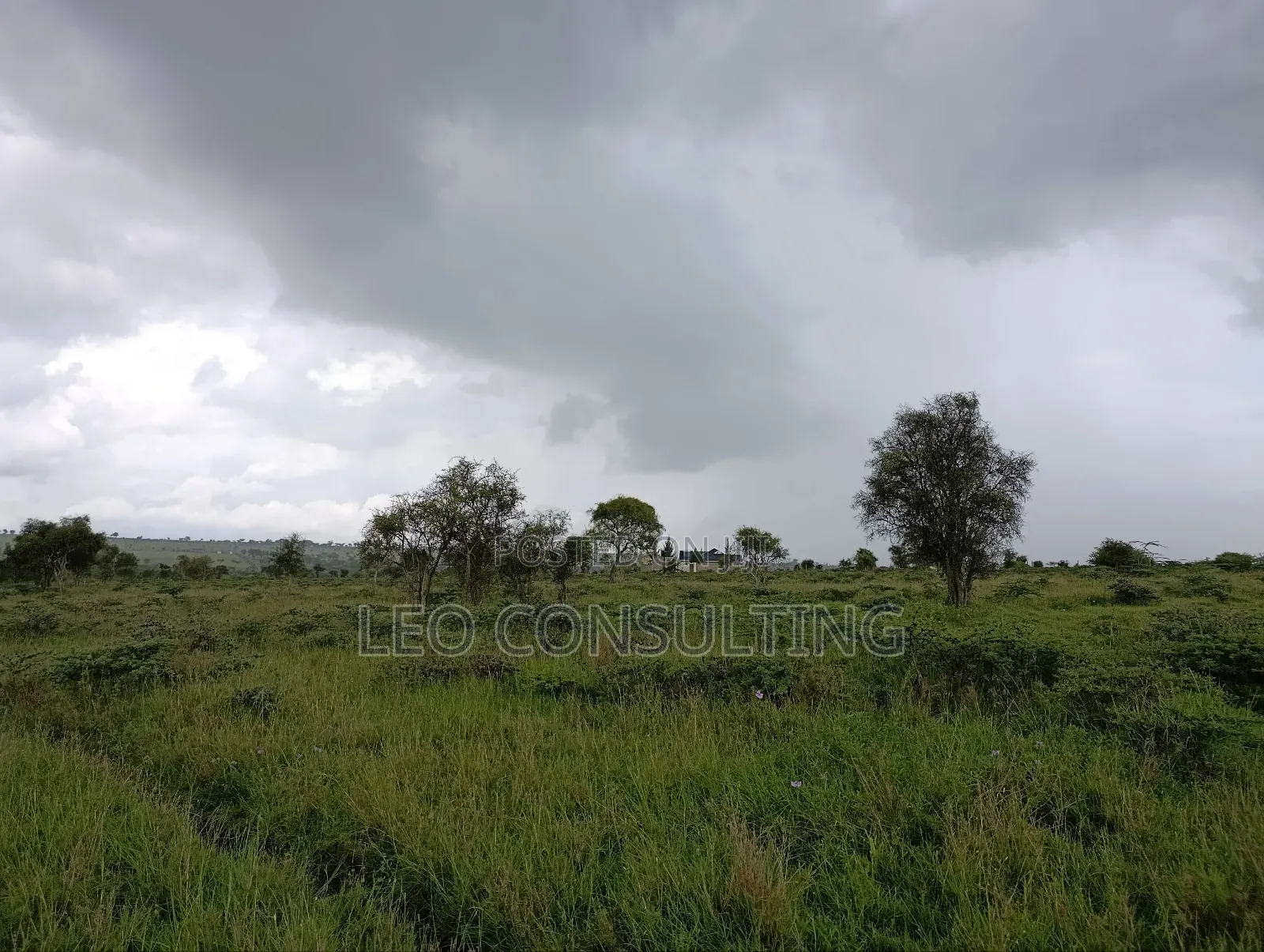 Prime Full 50 by 100 Plot on Quick Sale Near Kajiadotown