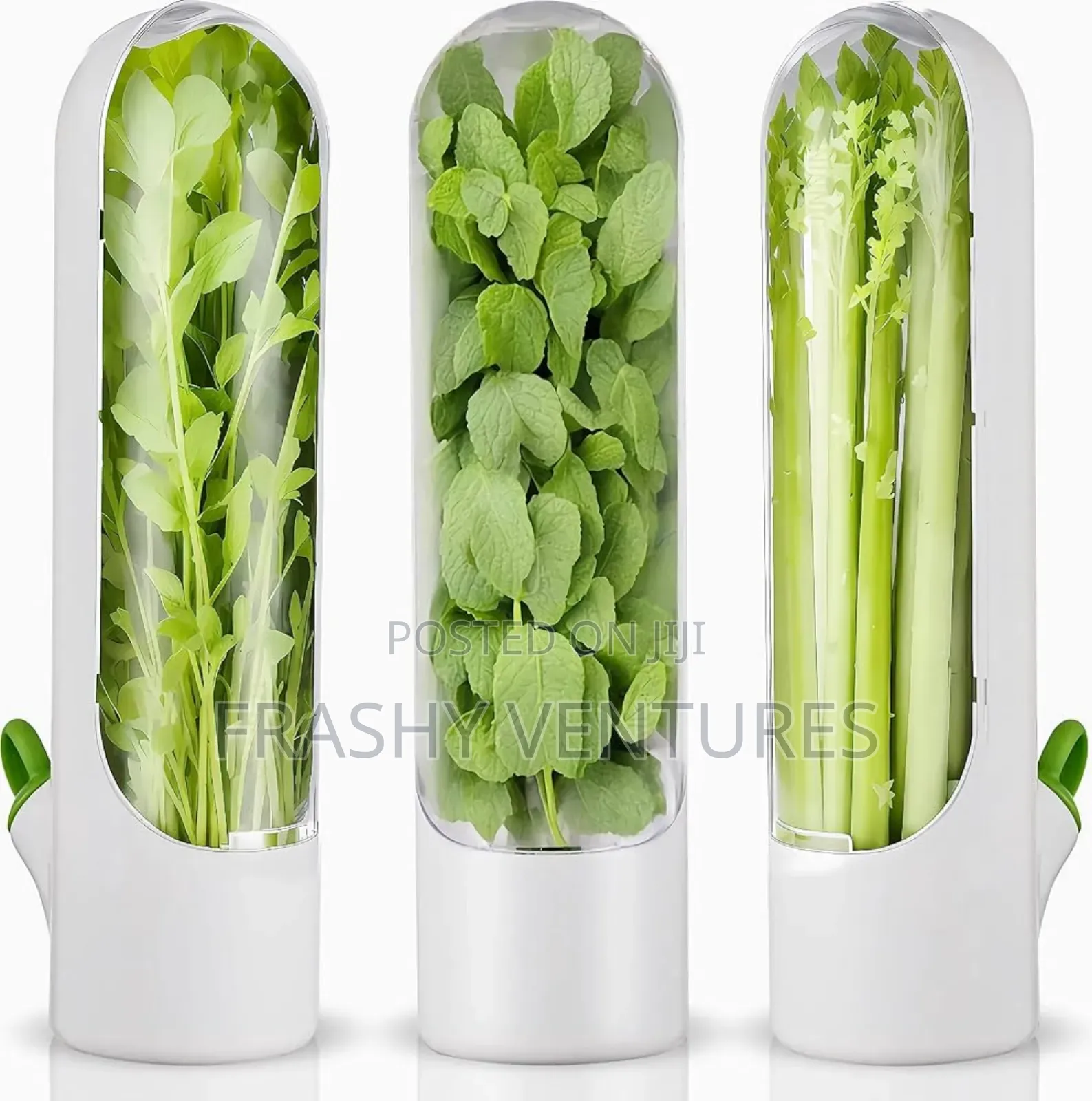 Fresh Herb Preserver Bottle