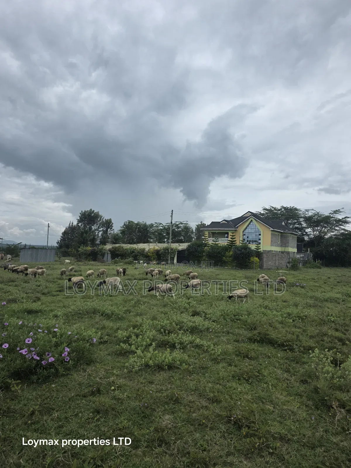 50*100 Residential Plot in Kitengela Kag