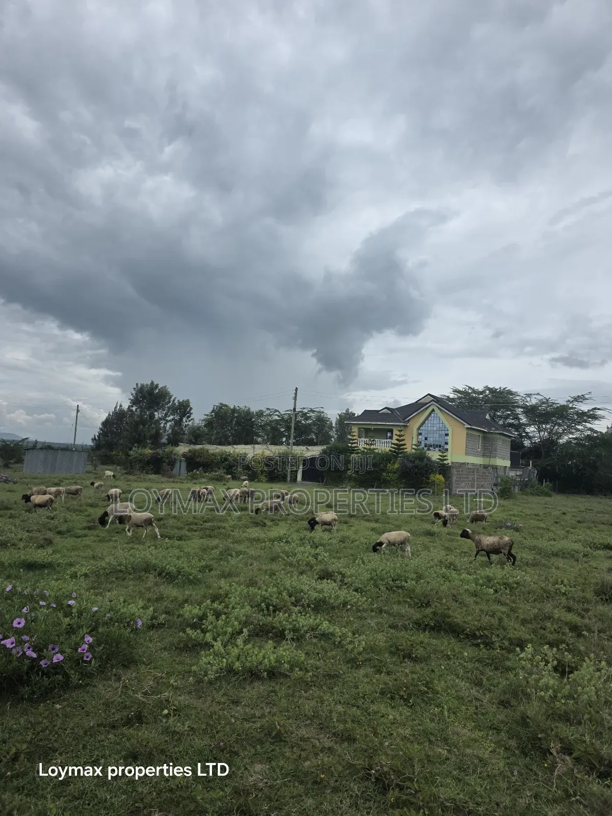 50*100 Residential Plot in Kitengela Kag